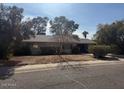 Single story home with a large front yard and mature trees at 3021 E Windrose Dr, Phoenix, AZ 85032