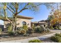 Tan single-story home showcasing an arched window and desert landscaping at 350 W Yellowstone Way, Chandler, AZ 85248