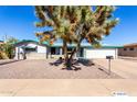 Charming single-story home with gravel landscaping, mature tree, and white two-car garage at 6058 E El Paso St, Mesa, AZ 85205