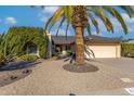 Single-story home with a large palm tree in front and a two-car garage at 814 S 78Th St, Mesa, AZ 85208