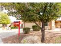 A well-kept home is partially obscured by a leafy tree, enhancing its curb appeal at 2077 W Tanner Ranch Rd, San Tan Valley, AZ 85144
