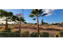 Landscaped backyard with golf course view at 6535 E Superstition Springs Blvd # 124, Mesa, AZ 85206