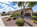 Landscaped front yard with gravel, bushes, palm tree and a stucco house at 1081 W Brangus Way, San Tan Valley, AZ 85143