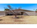 Mid-century modern home with covered entryway and mature tree at 530 N Miller St, Mesa, AZ 85203