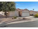 Front view of a house with a two-car garage and mature trees at 6871 S Coral Gable Dr, Chandler, AZ 85249