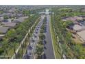 Community with palm trees, lake, and golf course at 22488 N Mulligan Dr, Maricopa, AZ 85138