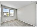 Bright bedroom with carpeted floors, neutral walls, and two windows letting in natural light at 17299 W Desert Sage Dr, Goodyear, AZ 85338