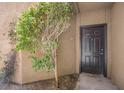 Private front door entrance with landscaping at 4644 N 22Nd St # 1017, Phoenix, AZ 85016