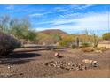 Landscaped backyard with desert plants and mountain views at 13050 W Pinnacle Vista Dr, Peoria, AZ 85383