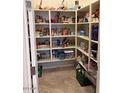 Walk-in pantry featuring ample shelving space for organized storage of food and household items at 15704 W Taylor St, Goodyear, AZ 85338