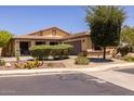 Single-story home with landscaped front yard and two-car garage at 14960 W Cottonwood St, Surprise, AZ 85374