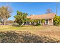 Wide front yard with a well-maintained lawn and mature trees, enhancing curb appeal at 2702 E Vaughn Ave, Gilbert, AZ 85234