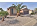 Charming one-story home with palm tree and gravel landscaping at 5181 W Buckskin Dr, Eloy, AZ 85131