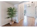 Bright and airy entryway with wood-look tile flooring and a large plant at 1326 E Clearwater Ln, Gilbert, AZ 85234