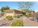 Charming single-story home featuring a well-maintained landscaped front yard at 41532 N Clear Crossing Rd, Anthem, AZ 85086