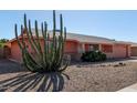 Single story home with peach stucco exterior, two-car garage, and a large cacti at 11029 W Meade Dr, Sun City, AZ 85351