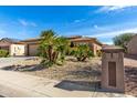 House with palm trees and a two-car garage at 18727 N Desert Light Dr, Surprise, AZ 85387