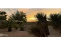 Sunset view from the backyard, featuring desert plants and a retaining wall at 20876 N Canyon Whisper Dr, Surprise, AZ 85387