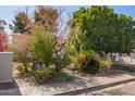 Landscaped yard with mature trees and shrubs at 8501 W Glenrosa Ave, Phoenix, AZ 85037