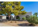 Charming ranch style home with well-manicured landscaping at 321 W Palo Verde St, Gilbert, AZ 85233