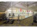 Fitness center with cardio equipment and a view of the basketball court at 2868 N Manassas Dr, Florence, AZ 85132