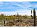 Expansive desert view overlooking the golf course with abundant cacti and beautiful desert foliage at 9523 E Sandy Vista Dr, Scottsdale, AZ 85262