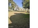 Spacious grassy backyard with mature trees at 4803 S Terrace Rd, Tempe, AZ 85282