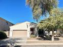 Single-story home with two car garage and shade tree in the front yard at 4286 E Buckboard Rd, Gilbert, AZ 85297