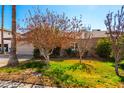 A single-story home with a charming front yard including small trees at 3135 W Echo Ln, Phoenix, AZ 85051