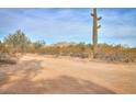 Exterior view showing desert landscaping and a glimpse of the mountains in the background at 15076 W Belmont Dr, Casa Grande, AZ 85194