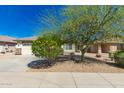 Charming single-story home featuring desert landscaping and mature trees at 16410 W Monte Cristo Ave, Surprise, AZ 85388