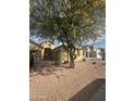 Charming single-story home featuring desert landscaping and a mature shade tree in the front yard at 2212 W Alicia Dr, Phoenix, AZ 85041