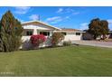 Single story home features manicured landscaping, with bright bushes and mature trees in the front yard at 3716 W Griswold Rd, Phoenix, AZ 85051
