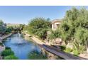 Scenic waterfront view showcasing lush greenery and a beautiful fountain, with ducks swimming in the canal at 705 W Queen Creek Rd # 1157, Chandler, AZ 85248