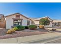 Lovely single-story home featuring a landscaped front yard with desert rock and shrubs at 3365 W Abraham Ln, Phoenix, AZ 85027