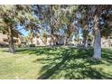 Exterior view of the property's well-maintained green spaces and mature trees at 1351 N Pleasant Dr # 1031, Chandler, AZ 85225