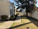 Well-maintained community featuring mature trees, green landscaping, and inviting sidewalks at 3107 W Loma Ln, Phoenix, AZ 85051