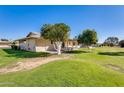 Large backyard with mature fruit trees, covered patio, and green lawn at 10891 W Clair Dr, Sun City, AZ 85351