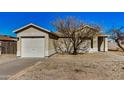 Single story house with a two car garage, tree, and low maintenance landscaping at 11354 W Carousel Dr, Arizona City, AZ 85123