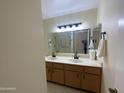 Bathroom with double sink vanity, large mirrors, and modern lighting at 18841 N Palomar Dr, Sun City West, AZ 85375