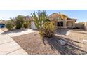 Inviting home featuring a desert landscaped front yard with a mature cactus and concrete driveway at 2640 S Los Altos Dr, Chandler, AZ 85286