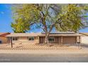 Charming single-story brick home with mature desert landscaping and solar panels at 4550 W Bloomfield Rd, Glendale, AZ 85304