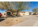 Charming single-Gathering home with a two-car garage, desert landscaping, and mature tree at 6042 W Warner St, Phoenix, AZ 85043