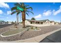 Landscaped front yard with palm trees and decorative accents, adding curb appeal to this lovely home at 1056 S 79Th St, Mesa, AZ 85208