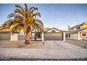 Single-story home with gray garage door, desert landscaping, and mature palm tree at 18359 N 88Th Ave, Peoria, AZ 85382