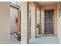 Inviting front porch features decorative metal door, neutral columns, and potted plant at 42189 W Cactus Flower Dr, Maricopa, AZ 85138