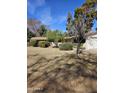 Traditional home featuring a lush green lawn, mature trees, and a driveway leading to an attached garage at 146 W Marshall Ave, Phoenix, AZ 85013