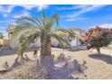 Well-maintained front yard showcasing desert landscaping, a mature palm tree, and a view of the house at 9609 E Monte Ave, Mesa, AZ 85209