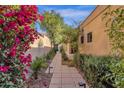 Picturesque pathway with bougainvillea and manicured hedges leading to the home at 7740 E Gainey Ranch Rd # 36, Scottsdale, AZ 85258