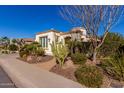 The front of the house features desert landscaping, a curved entryway and a pruned tree at 1620 E Sattoo Way, Queen Creek, AZ 85140